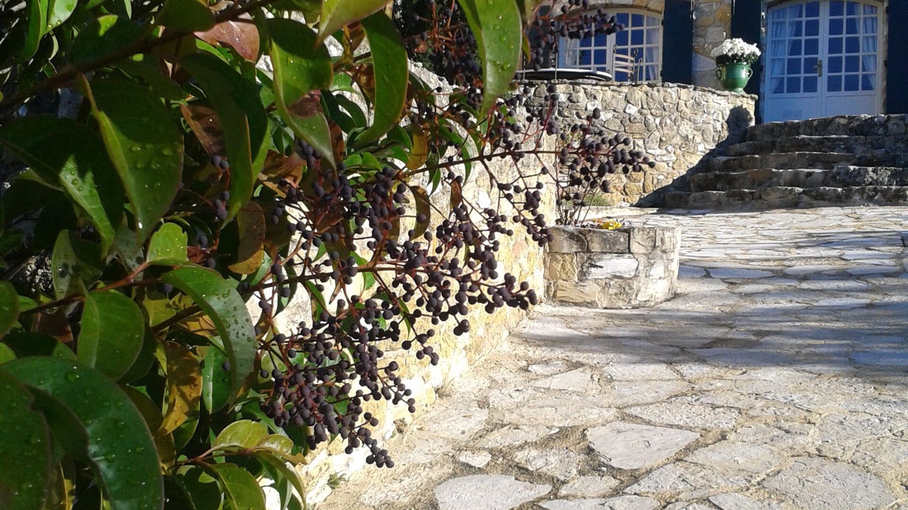 Photo of Outdoor in Lauris