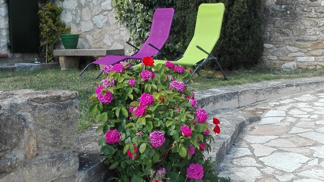 Photo of Outdoor in Lauris