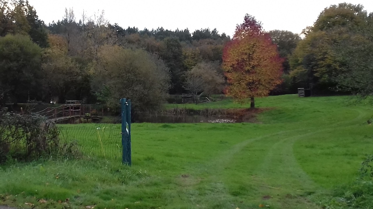 Photo of Outdoor in Paimpont