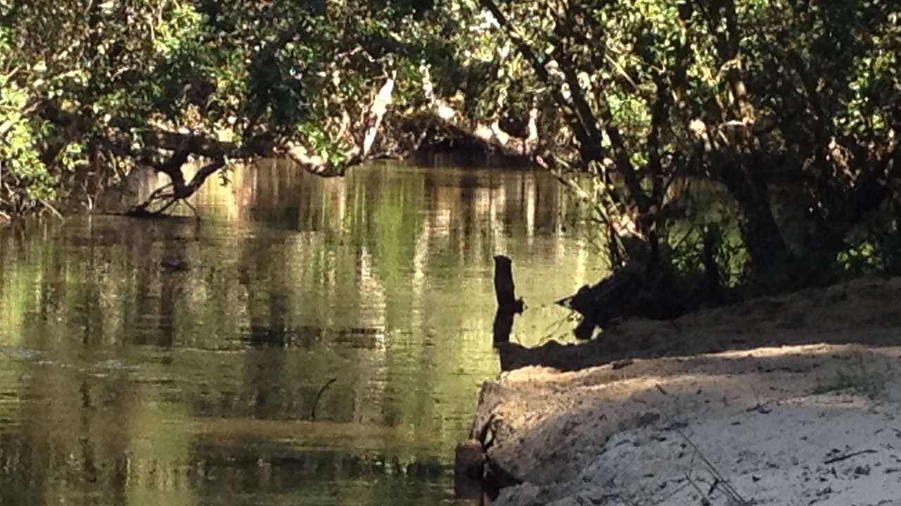 Photo of Outdoor in Moliets-et-Maa