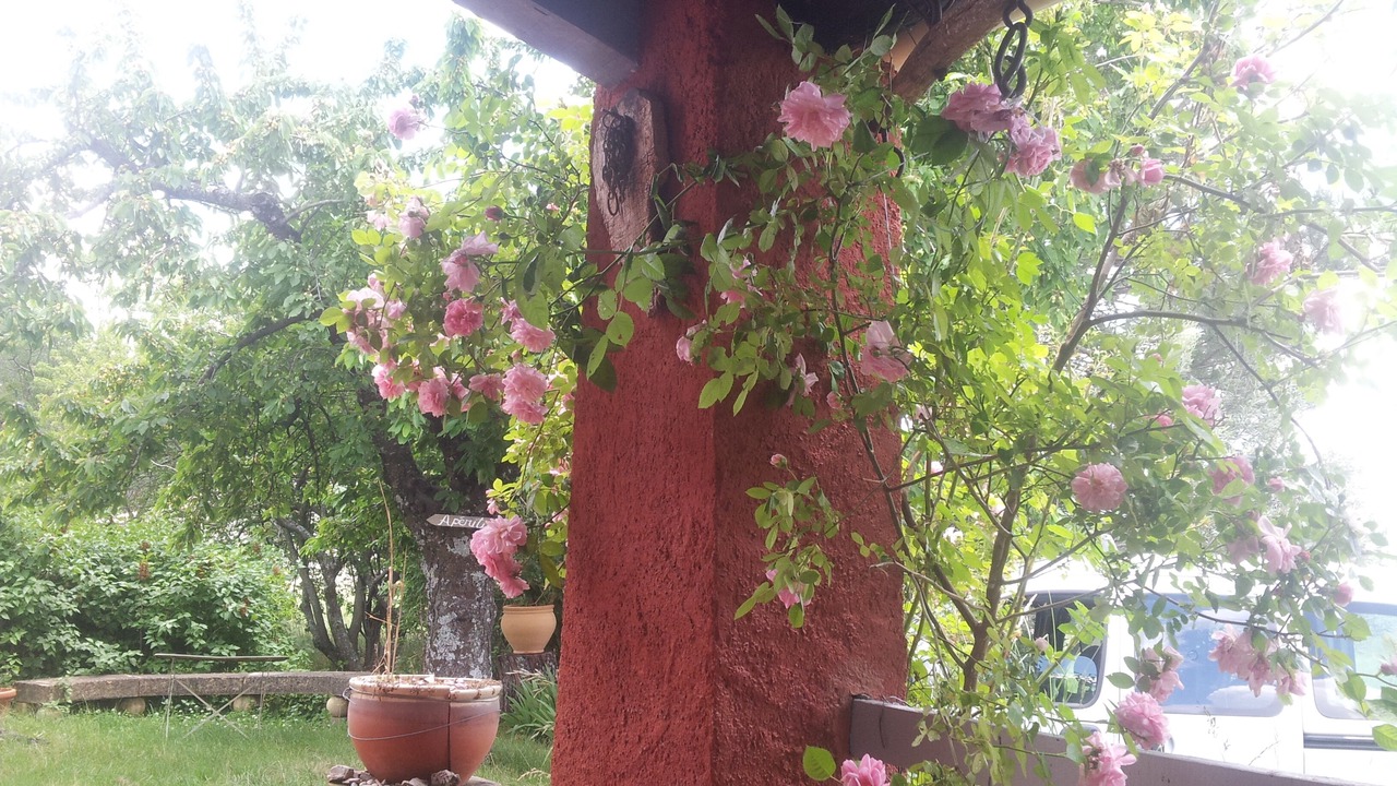 Photo of Outdoor in Lardiers