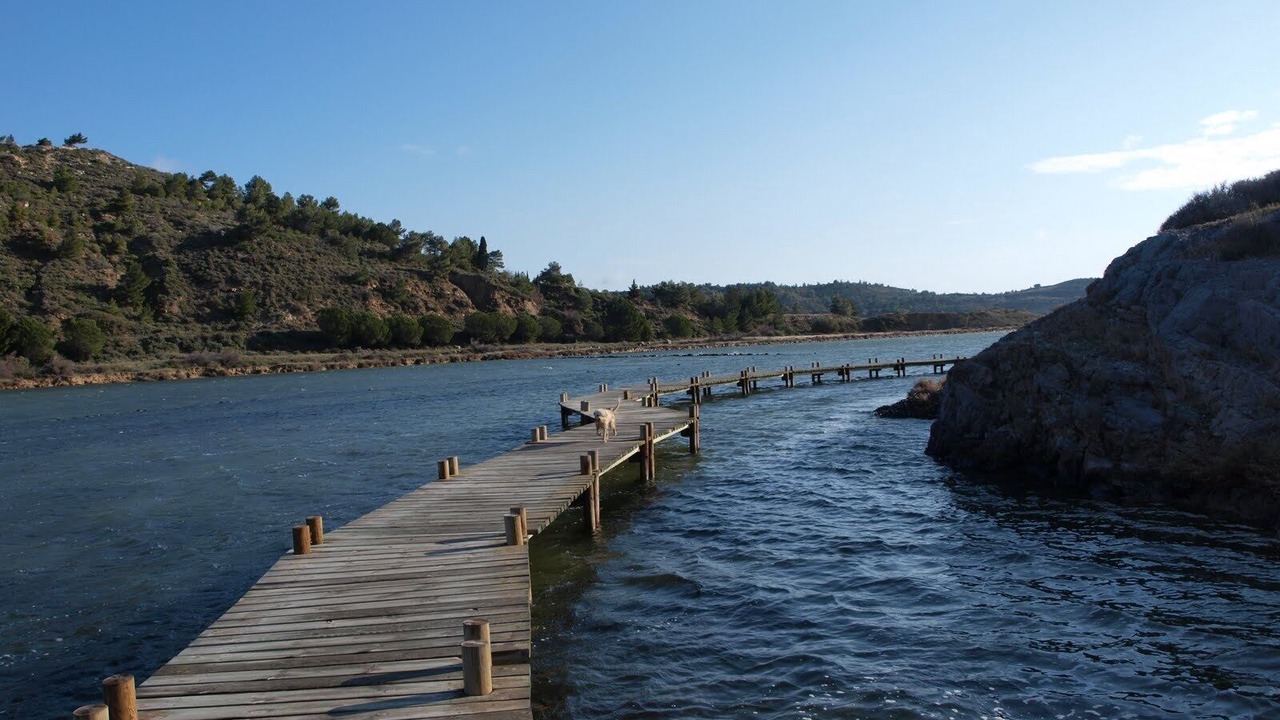 Photo of Others in Peyriac-de-Mer
