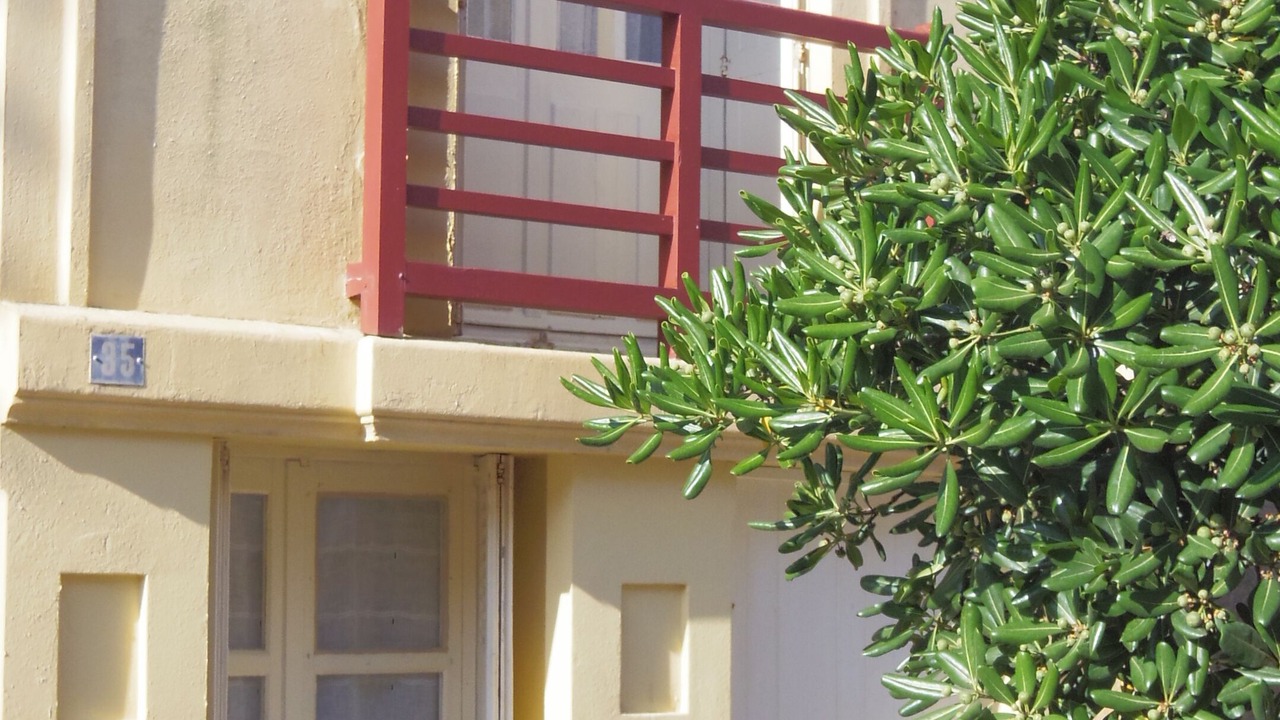 Photo of Outdoor in Les Sables d'Olonne