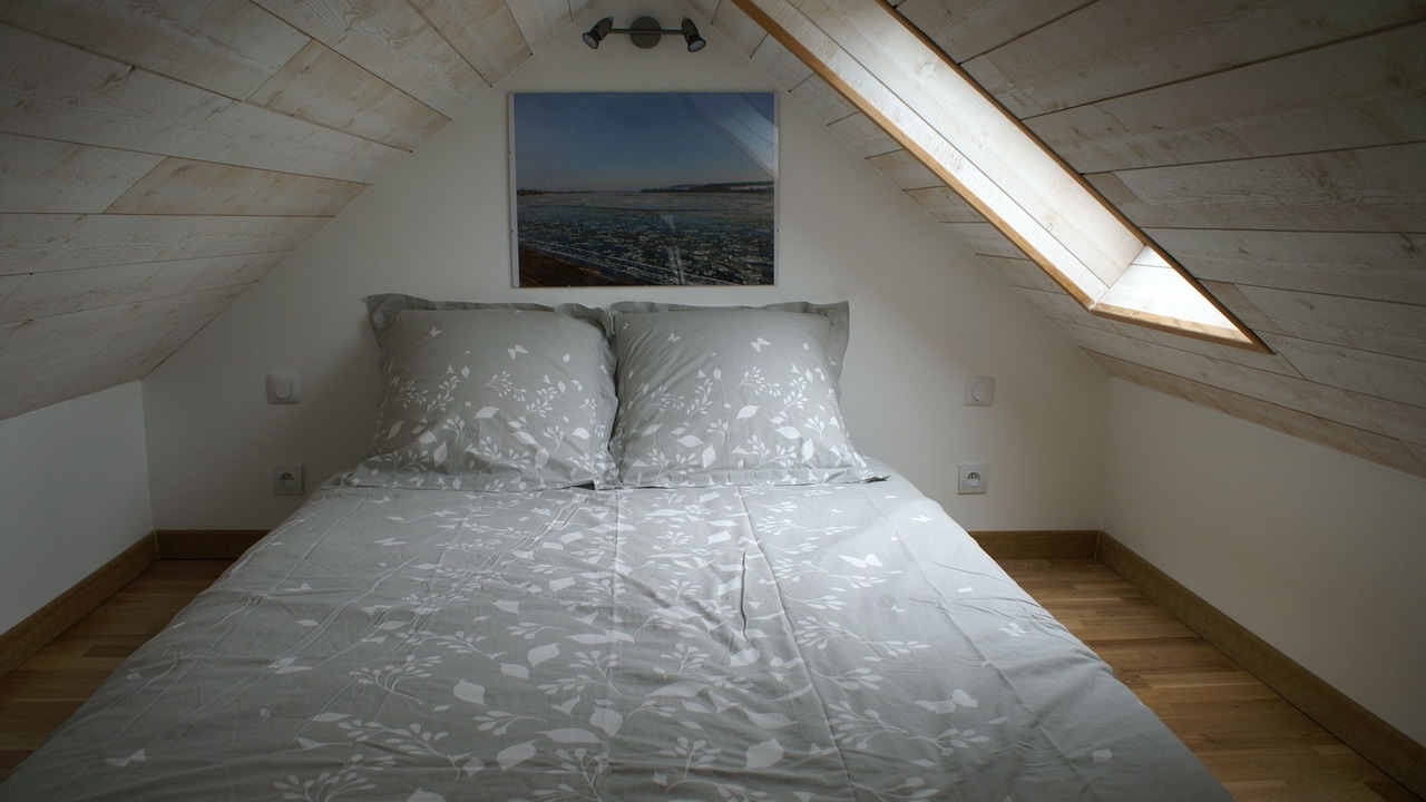 Photo of Bedroom in La Menitre