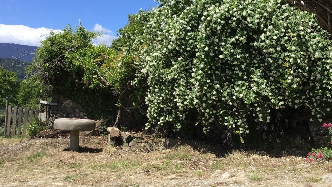 Photo of Outdoor in Antisanti