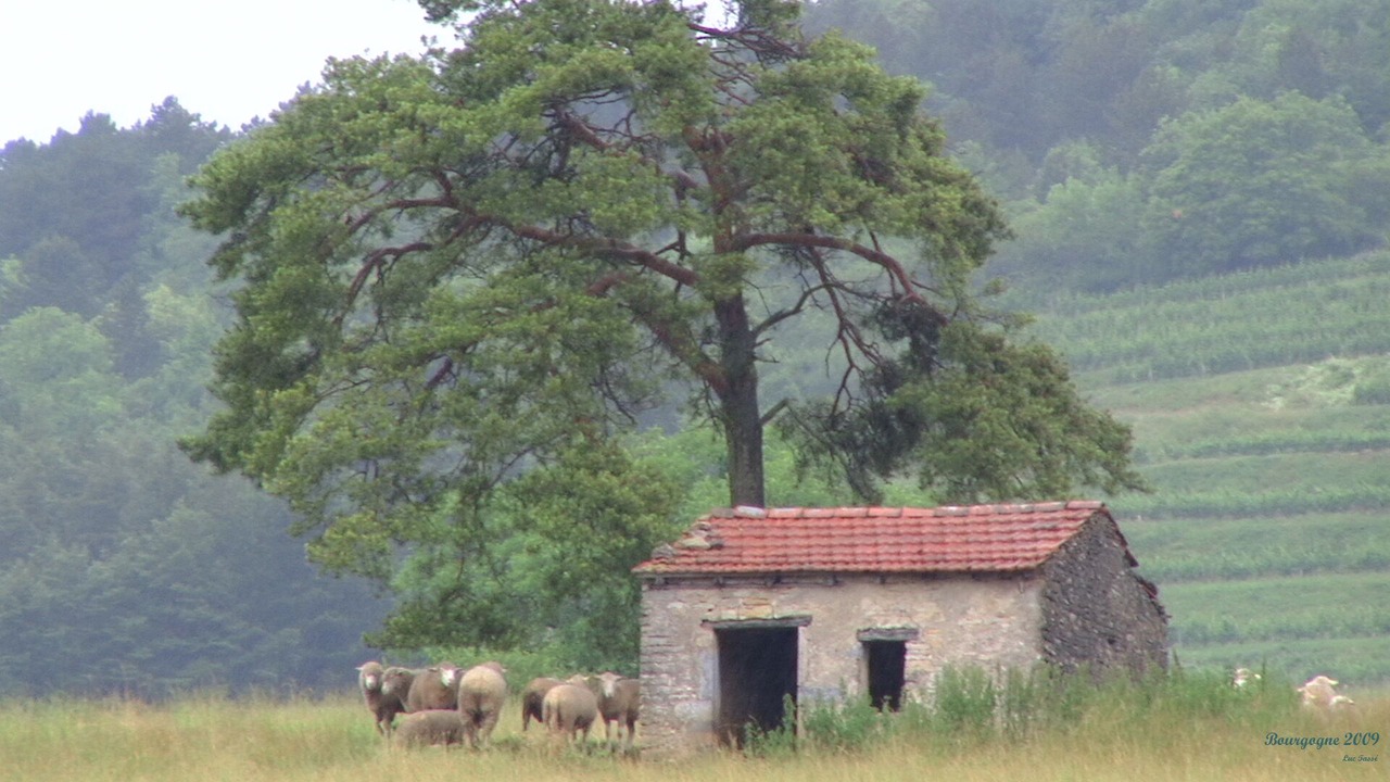 Photo of Others in Curtil-Vergy