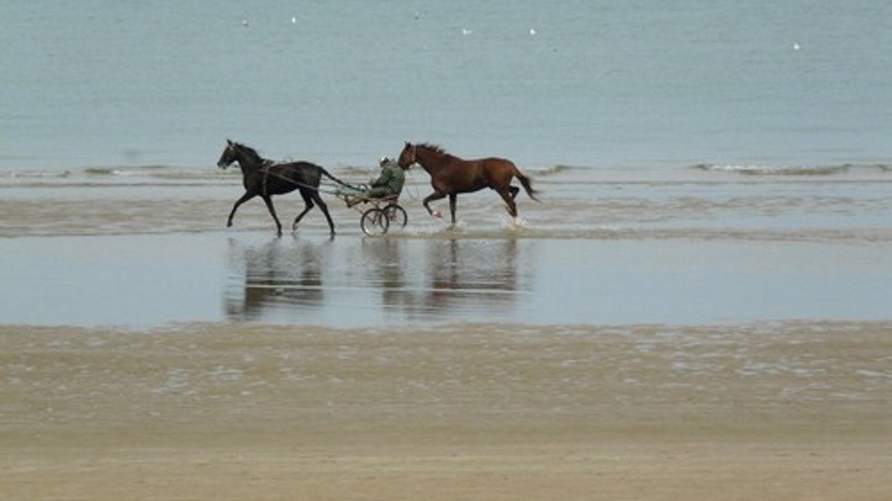 Photo of Others in Asnelles