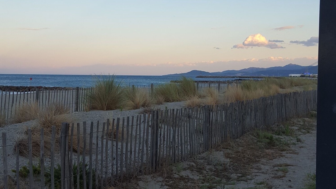 Photo of Others in Canet-en-Roussillon