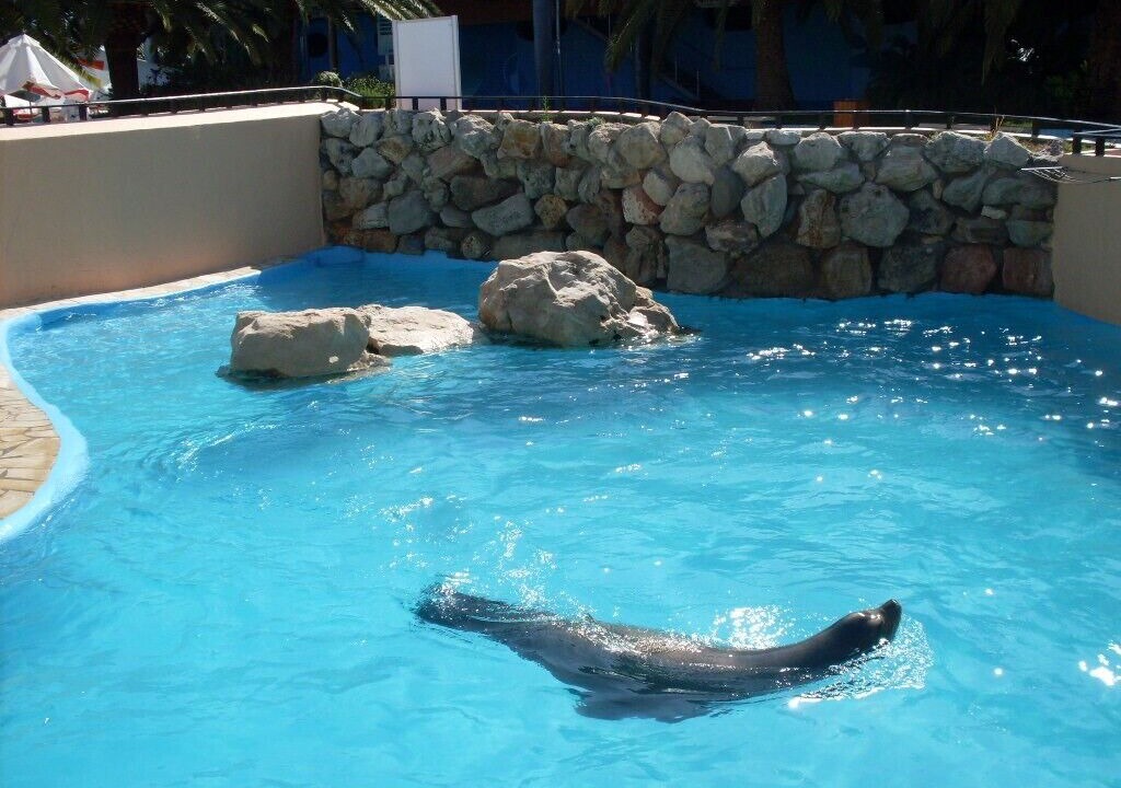 Photo of Outdoor in Carqueiranne