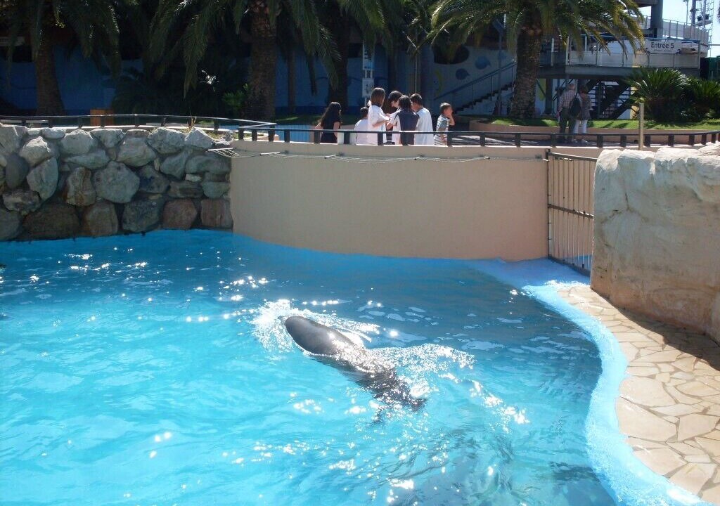 Photo of Outdoor in Carqueiranne