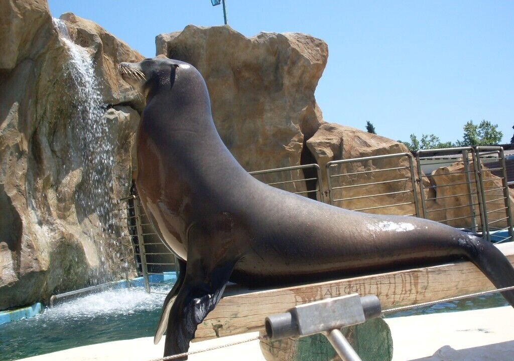 Photo of Outdoor in Carqueiranne