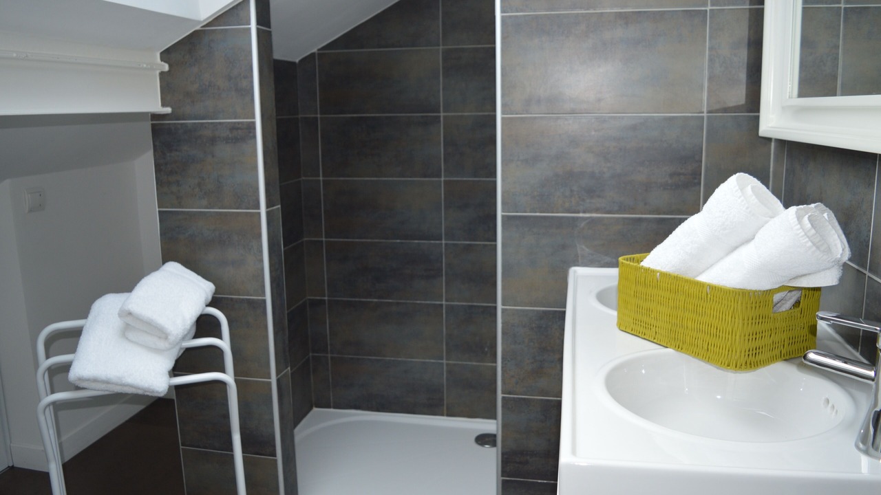 Photo of Bathroom in Sainte-Savine