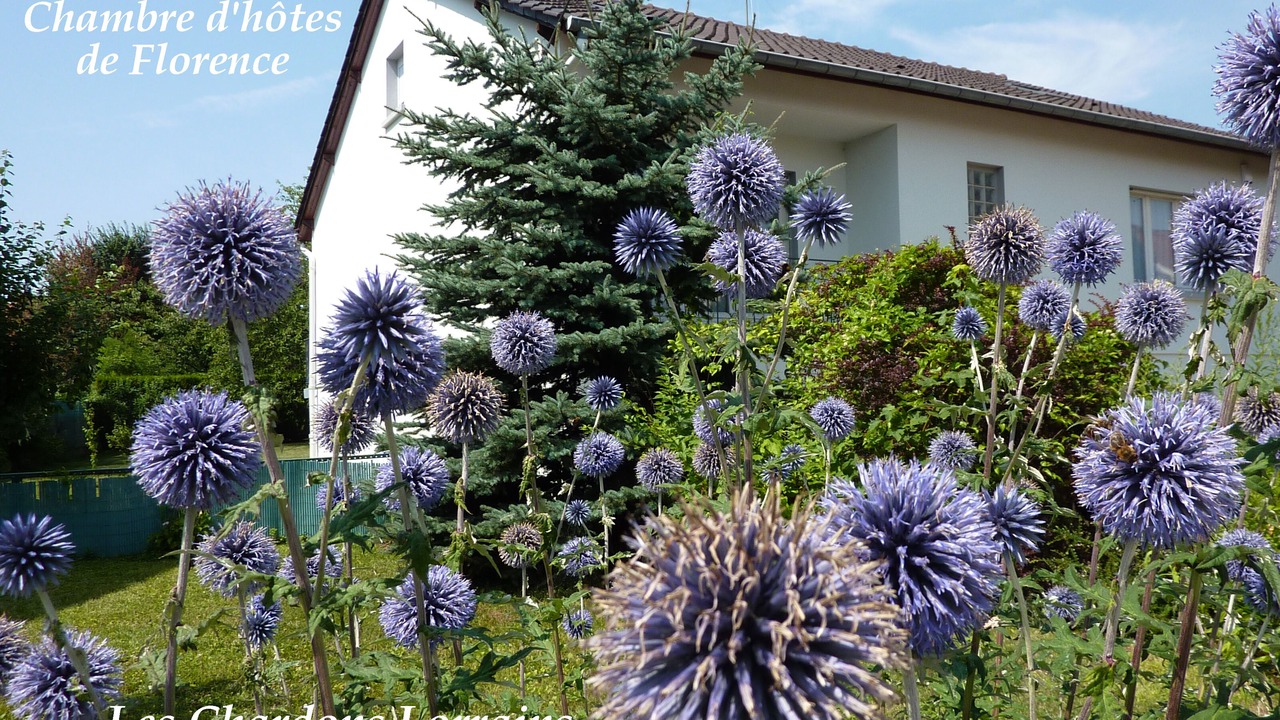 Photo of Outdoor in Woippy