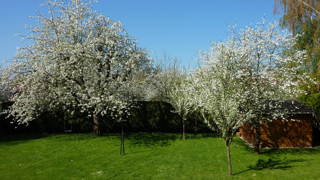 Photo of Outdoor in Woippy