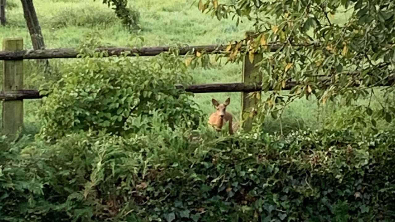 Photo of Outdoor in Moncy