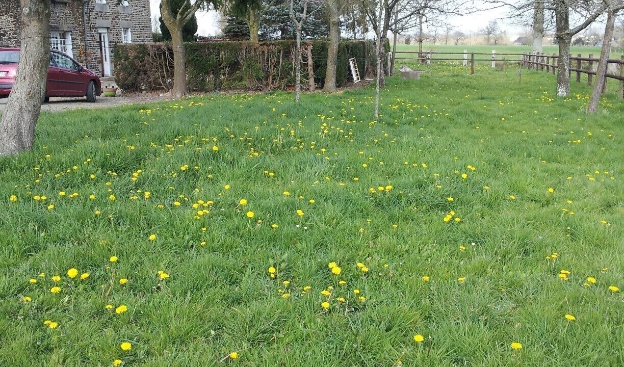 Photo of Outdoor in Moncy