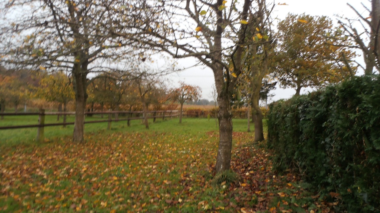 Photo of Outdoor in Moncy