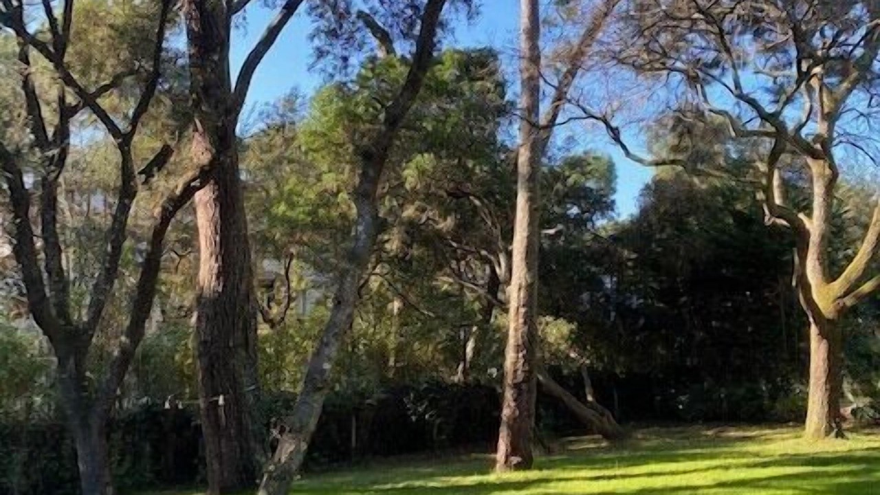 Photo of Outdoor in Pyla-sur-Mer
