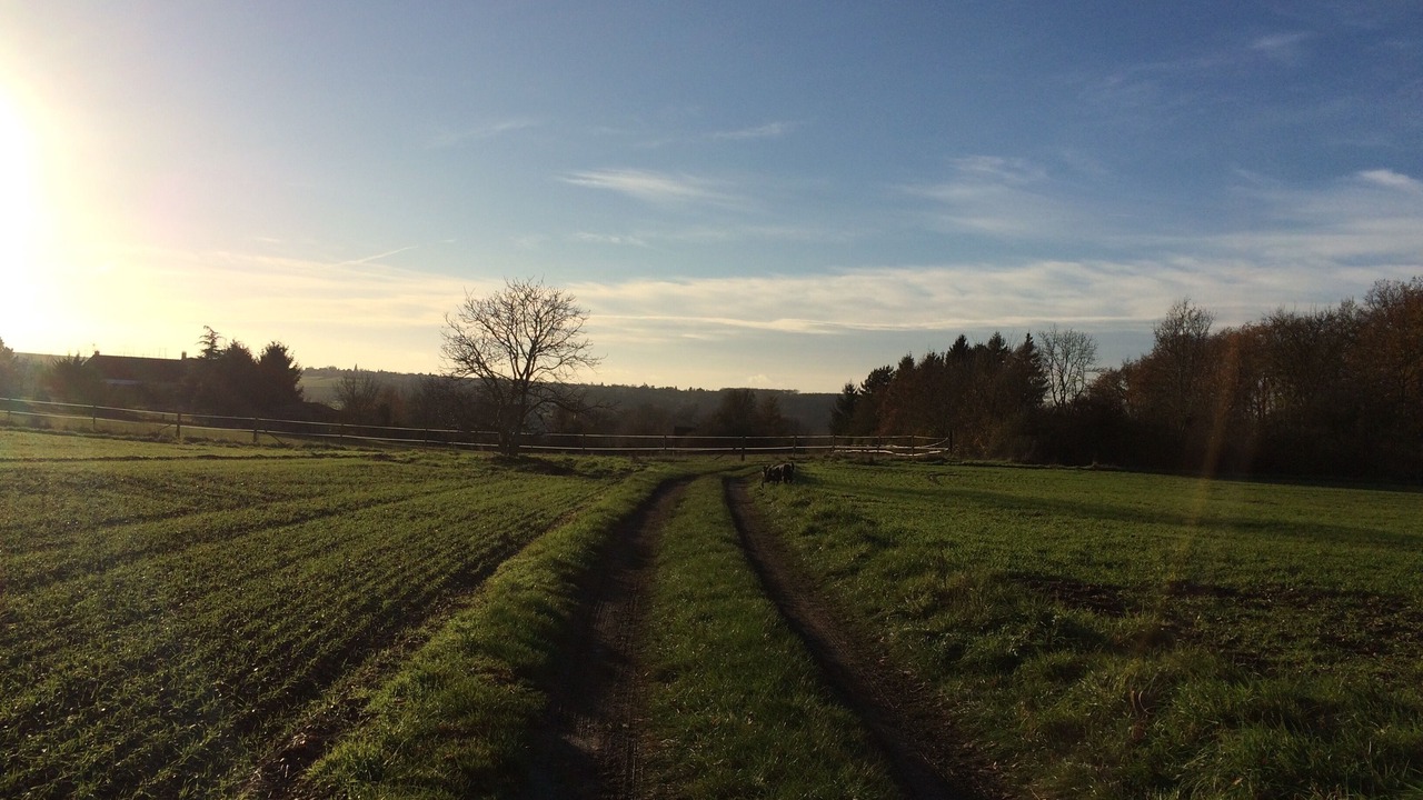 Photo of Outdoor in Sainte-Gemme-Moronval