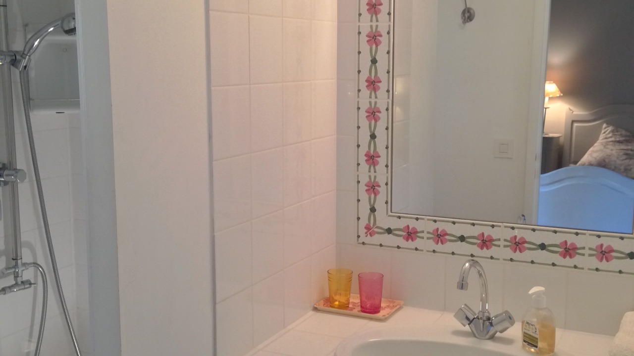Photo of Bathroom in L'Isle-Jourdain