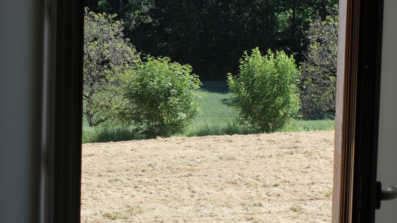 Photo of Others in Mazeyrolles