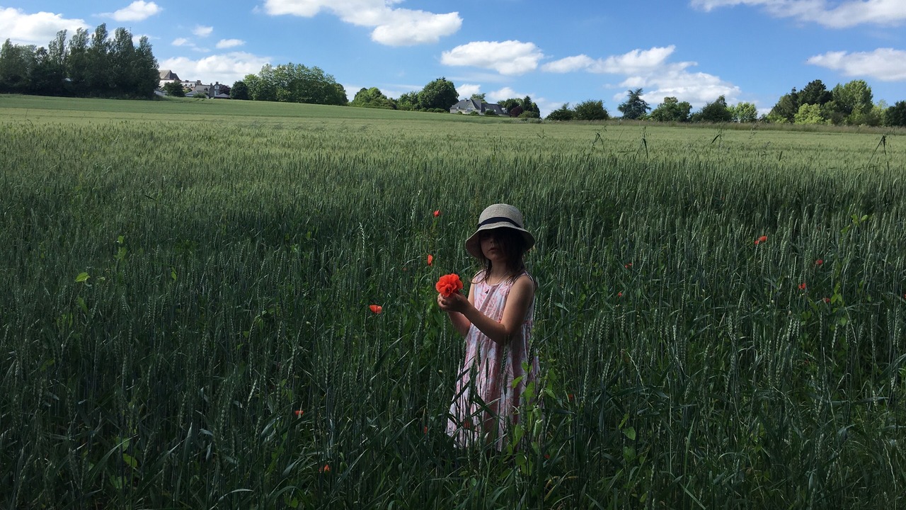 Photo of Others in Plouer-sur-Rance