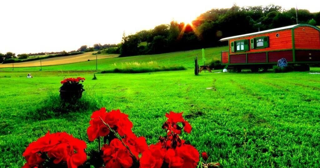Photo of Outdoor in Roquecor