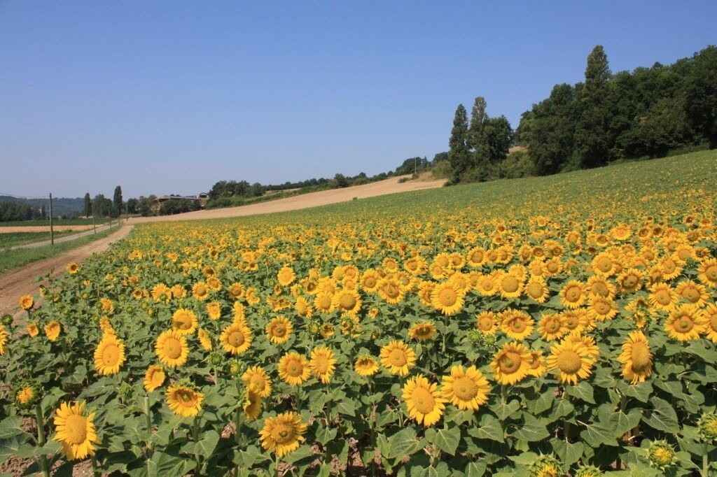 Photo of Outdoor in Roquecor