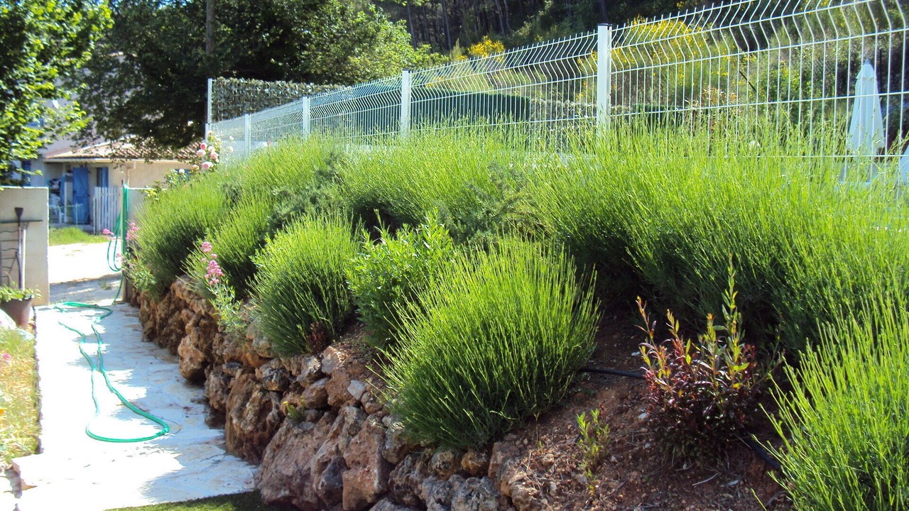 Photo of Outdoor in Auriol