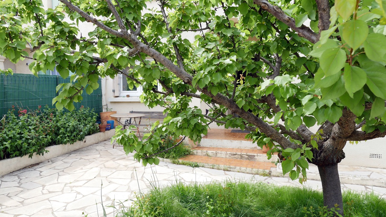 Photo of Outdoor in Estanove
