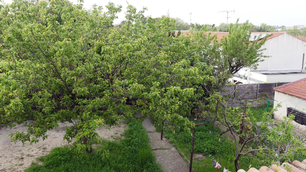 Photo of Outdoor in Estanove