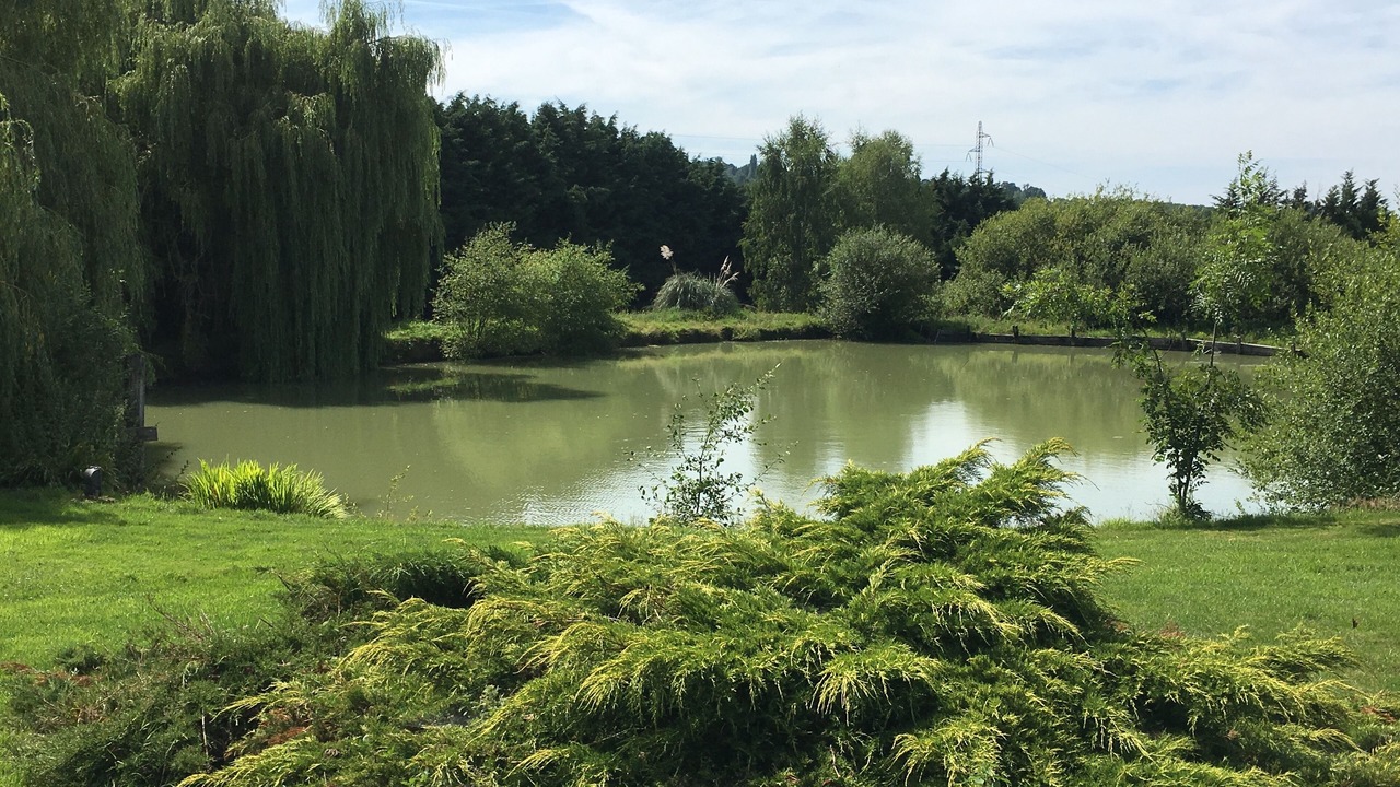 Photo of Outdoor in Pont-l'Eveque