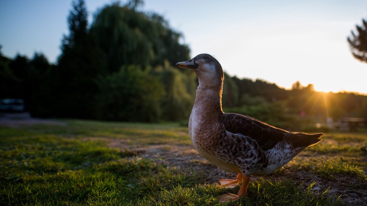 Photo of Outdoor in Pont-l'Eveque