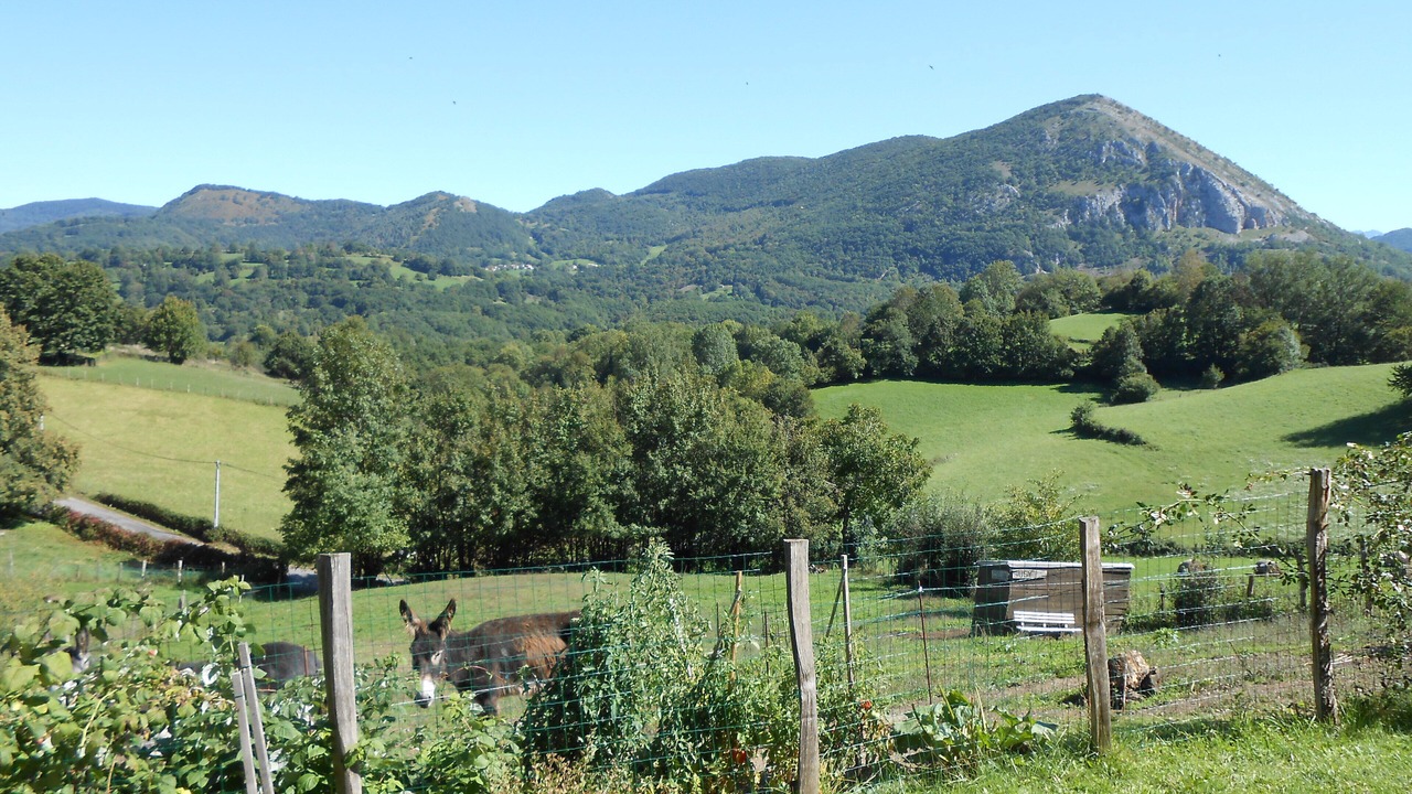 Photo of Outdoor in Sacoue