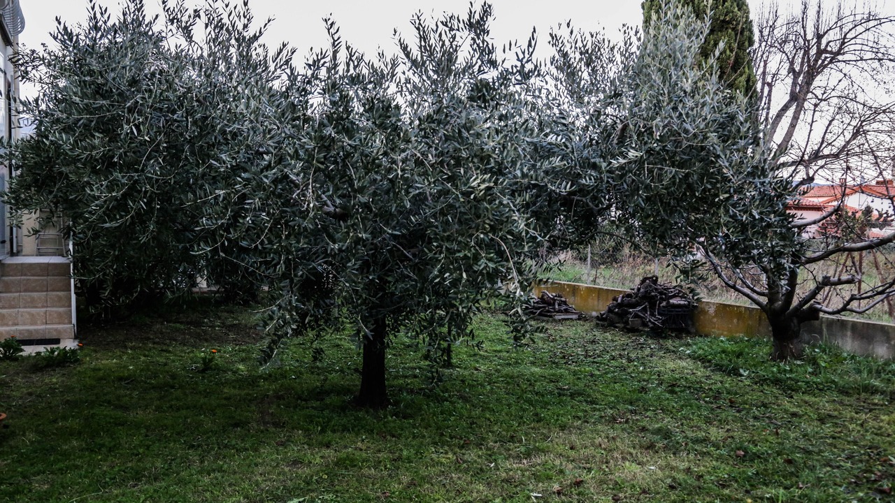 Photo of Outdoor in Prades