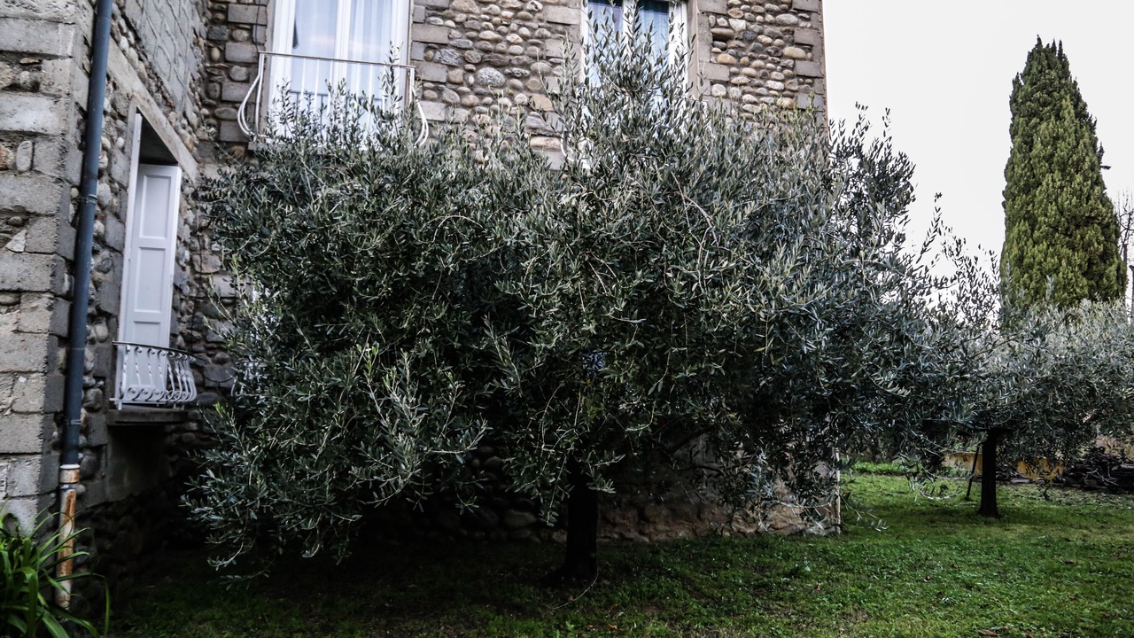 Photo of Outdoor in Prades