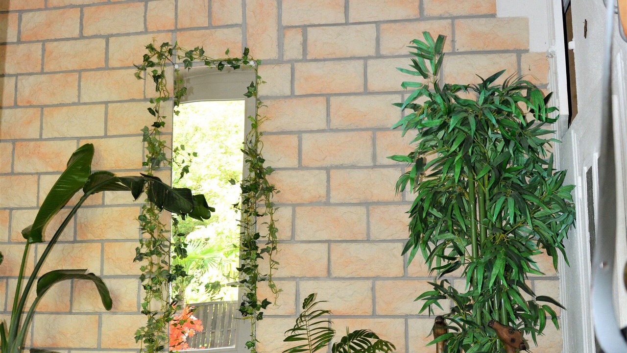 Photo of Others in La Chavanne