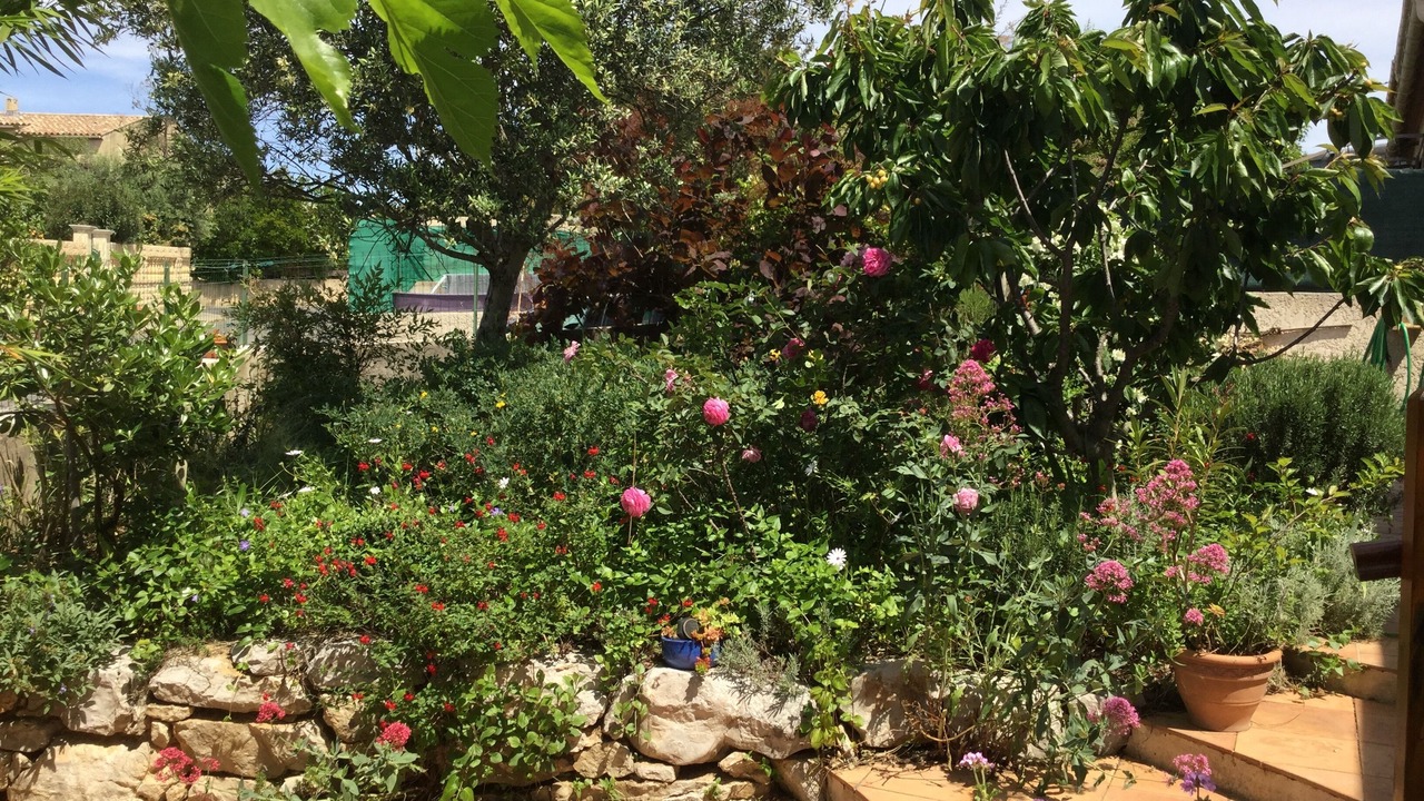 Photo of Outdoor in Castelnau-le-Lez