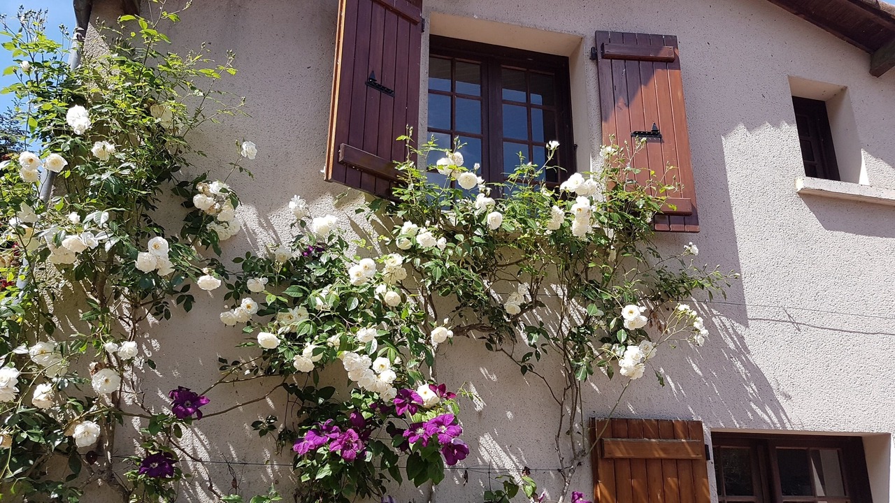 Photo of Outdoor in Les Chatelliers-Chateaumur