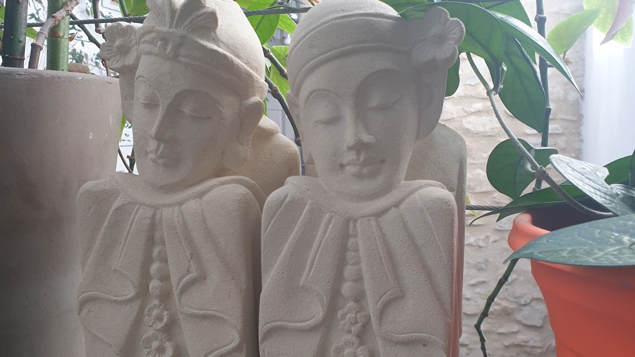 Photo of Others in Saint-Martin-de-Castillon