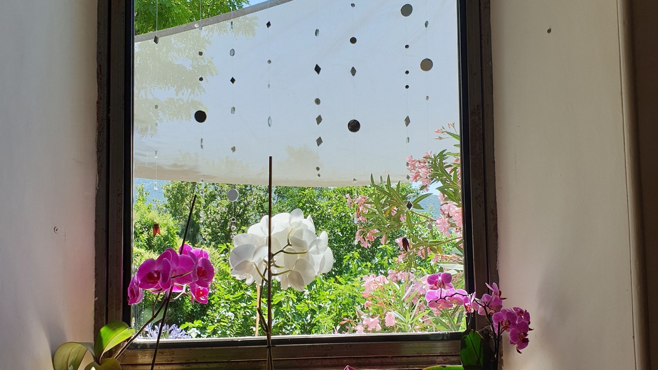 Photo of Others in Saint-Martin-de-Castillon