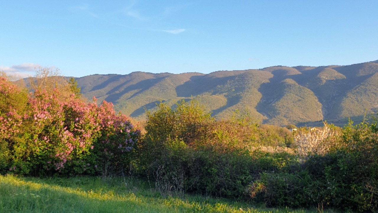 Photo of Others in Saint-Martin-de-Castillon