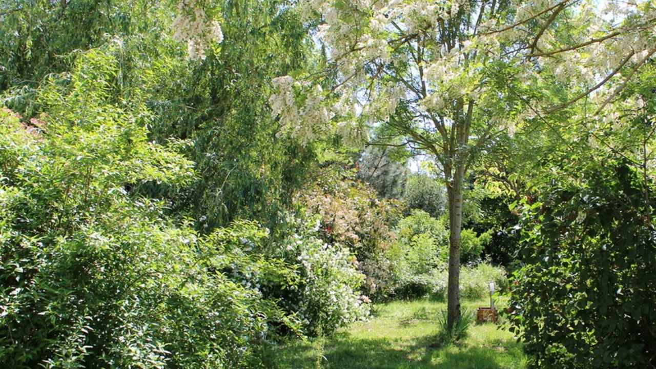 Photo of Outdoor in Massais