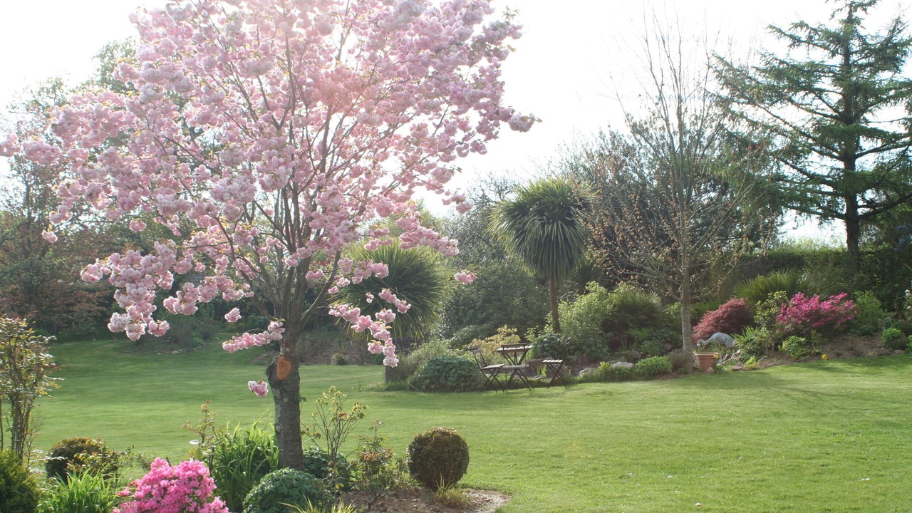 Photo of Outdoor in Sottevast