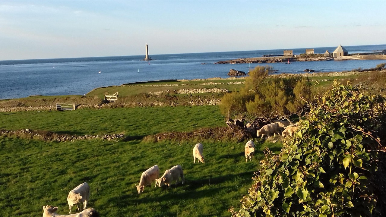 Photo of Outdoor in Sottevast