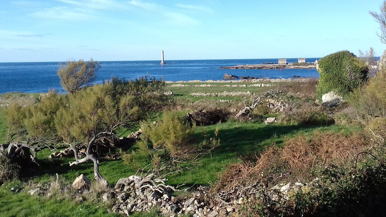 Photo of Others in Sottevast