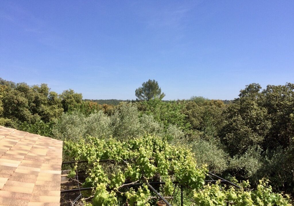 Photo of Others in Junas