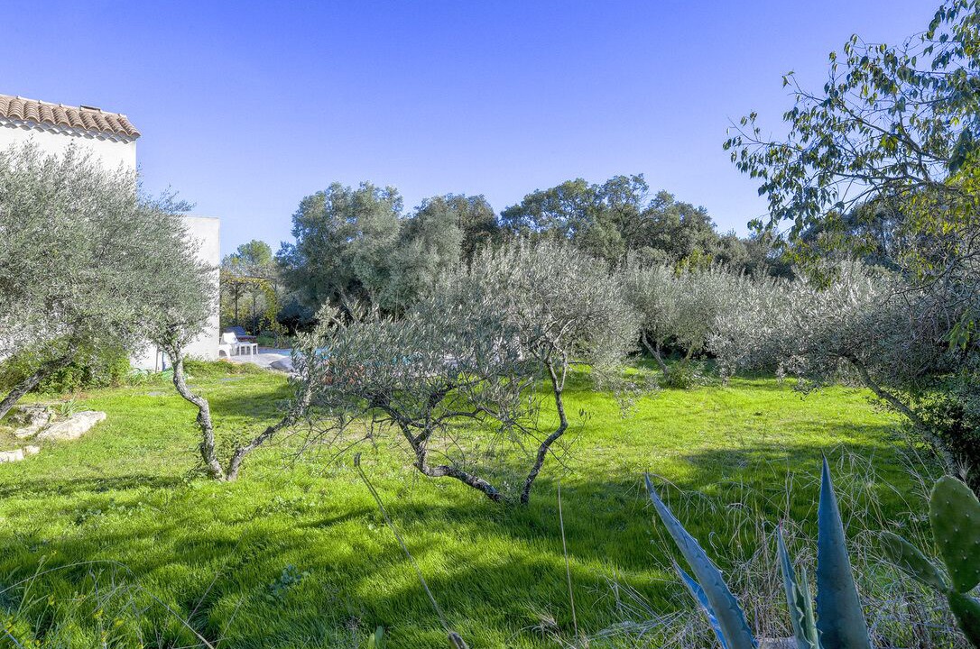 Photo of Outdoor in Junas