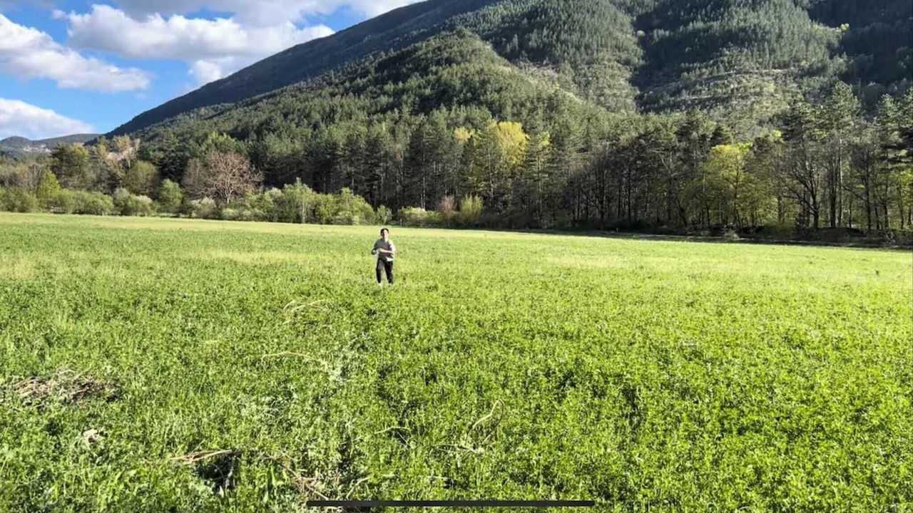 Photo of Others in Castellane