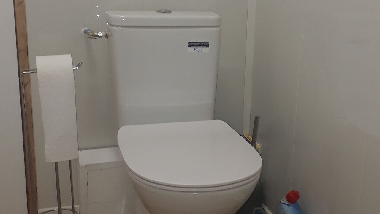 Photo of Bathroom in Molieres